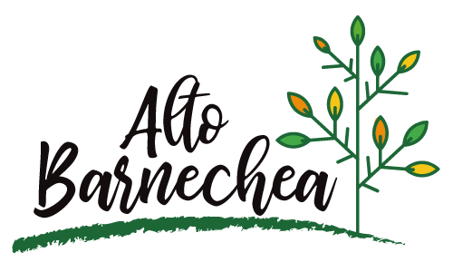Alto Barnechea